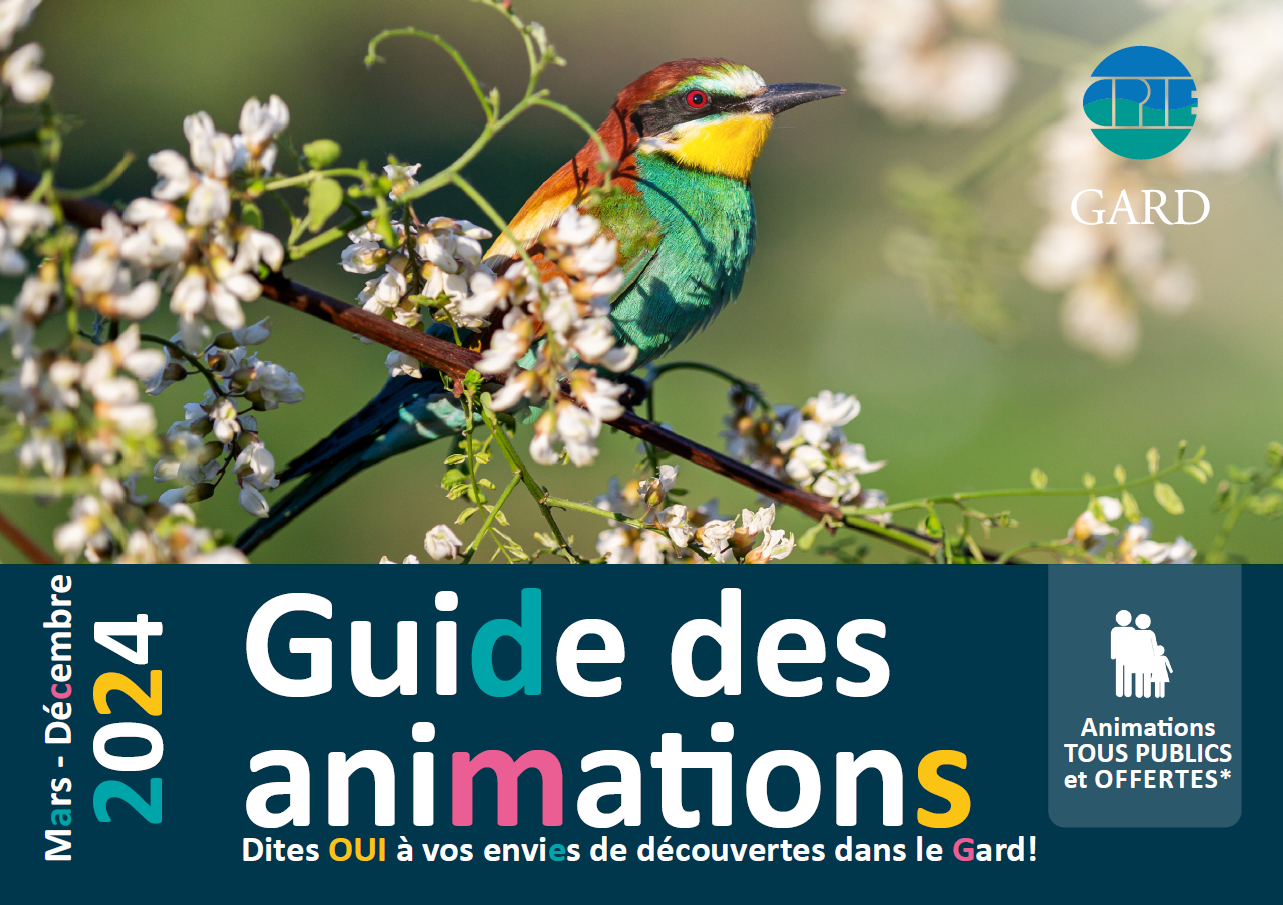Couverture Guide des Animations