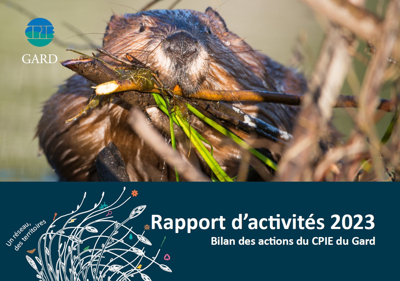 couv bilan activités 2023