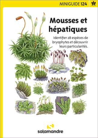 image de couverture